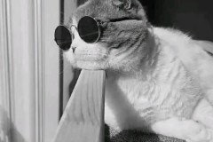 热刺黄潜足球对决：黄牌累积，悬念升级，球迷翘首以盼